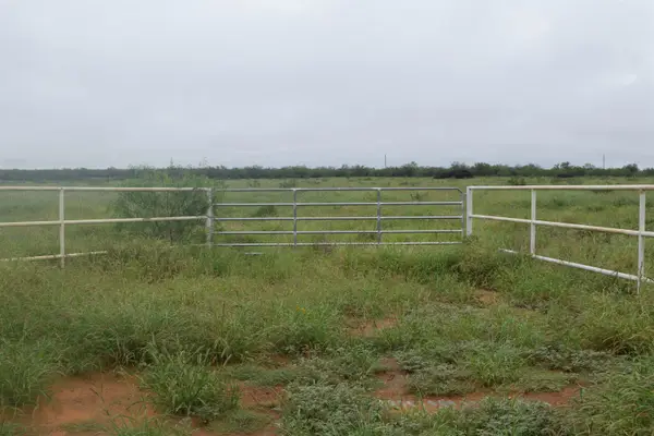 Lot 5 High Caliber Estates Dr., Laredo, TX 78045