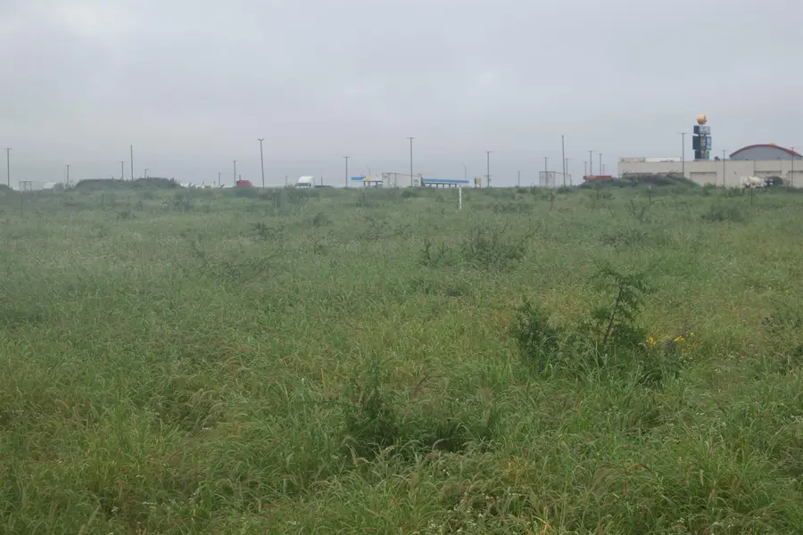 Lot 5 High Caliber Estates Dr., Laredo, TX 78045 - #3