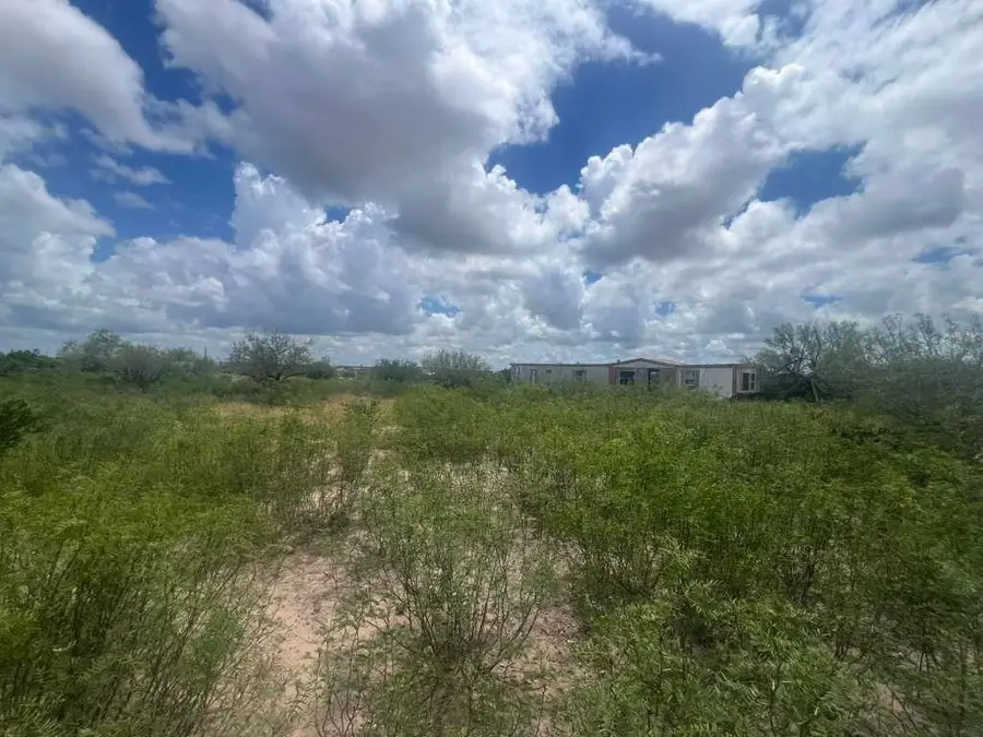 193 Camino Reforma, Laredo, TX 78043 - #3