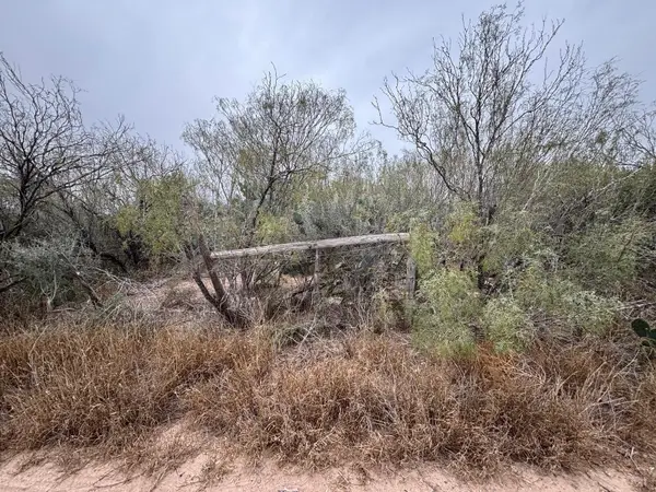 Lot 59 Los Fresnos, Laredo, TX 78046
