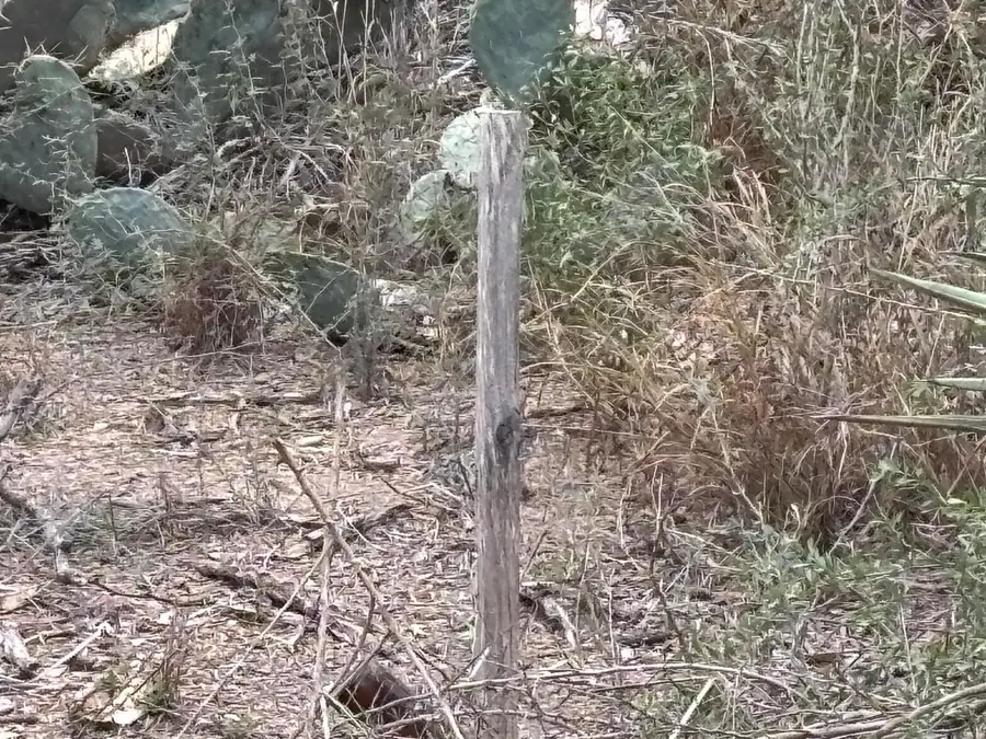 Lot 59 Los Fresnos, Laredo, TX 78046 - #3
