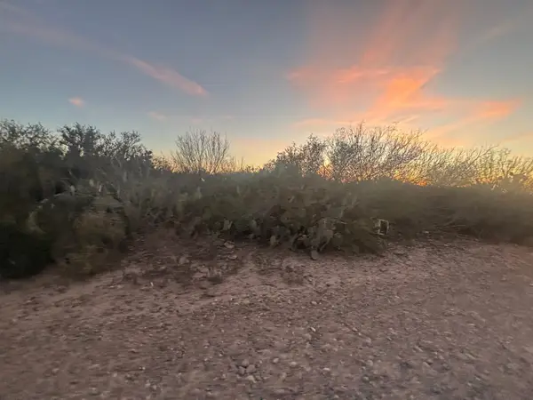 Lot 60 Los Fresnos, Laredo, TX 78046