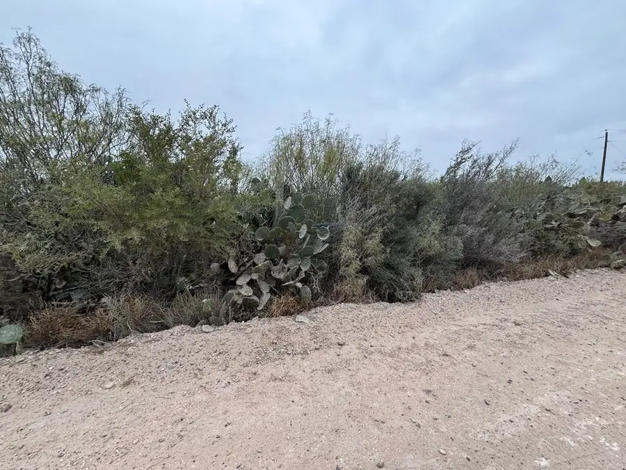 Lot 60 Los Fresnos, Laredo, TX 78046 - #3