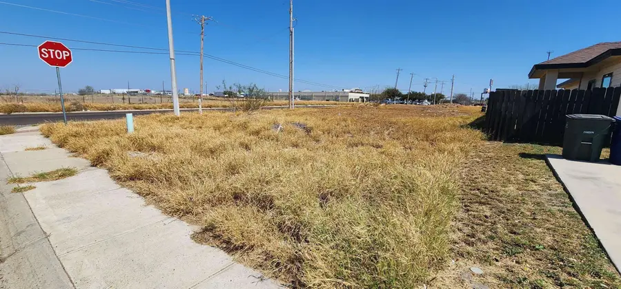 4501 Vanessita Crt, Laredo, TX 78046 - #2