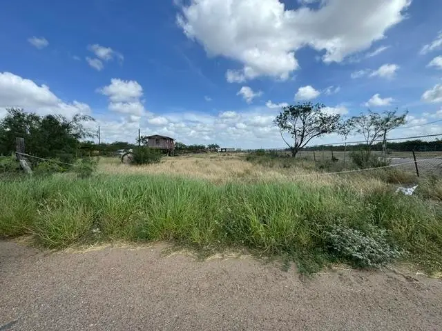 186 Rancho Pila Rd, Laredo, TX 78045 - #3