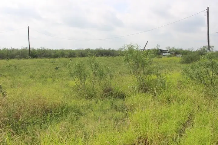 Camino San Luis Rd., Laredo, TX 78041 - #3