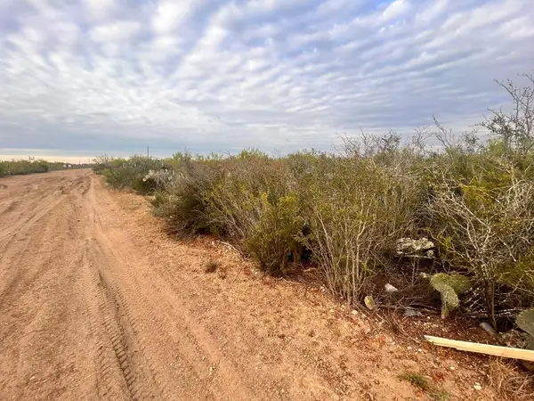 1 Acre Tract 17 Las Pilas Rd., Laredo, TX 78043