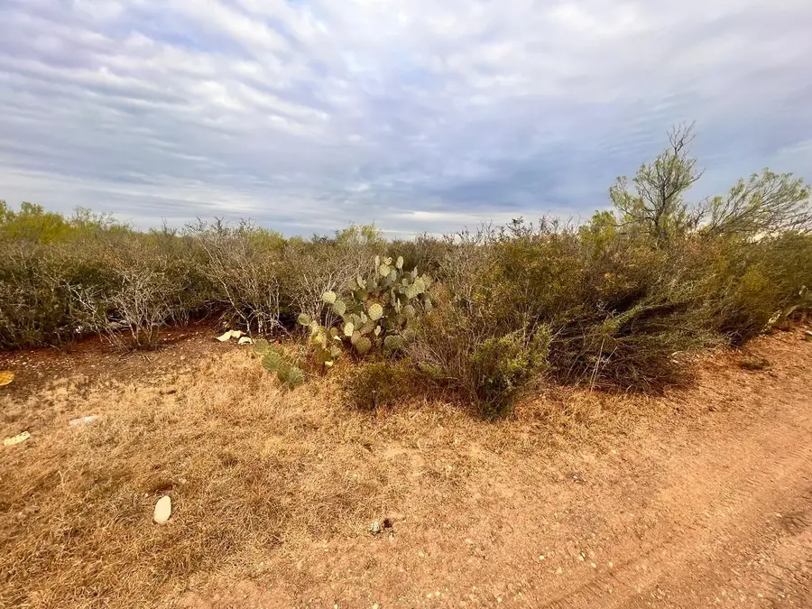 1 Acre Tract 17 Las Pilas Rd., Laredo, TX 78043 - #3