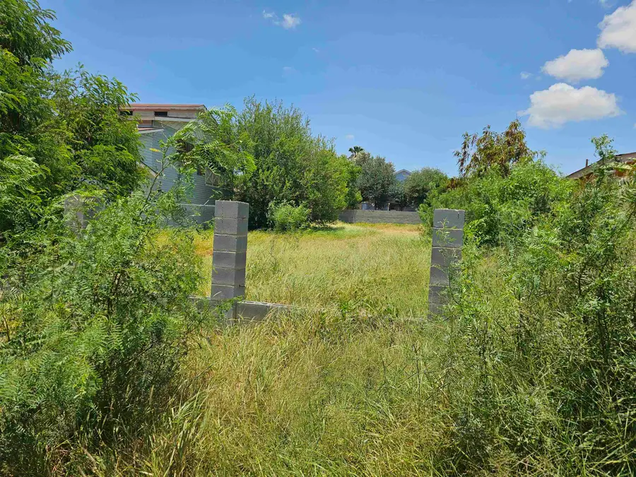 3218 Boulanger St, Laredo, TX 78043 - #2