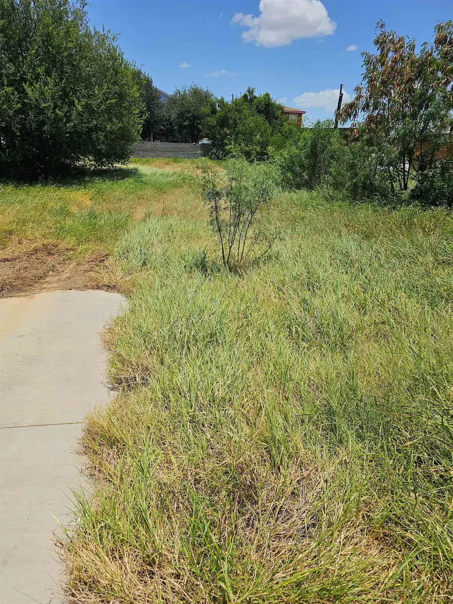 3218 Boulanger St, Laredo, TX 78043 - #3