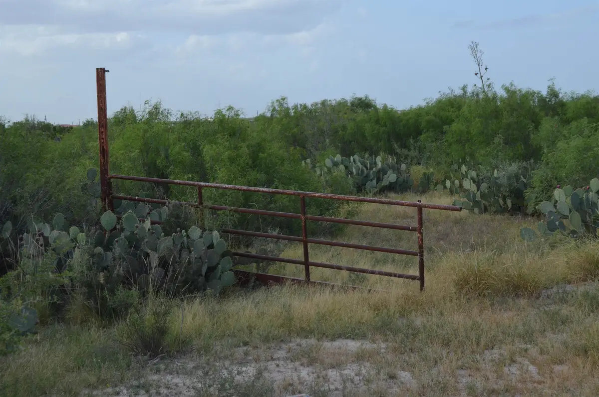 Lot 43 Los Centenarios, Laredo, TX 78043 - #1