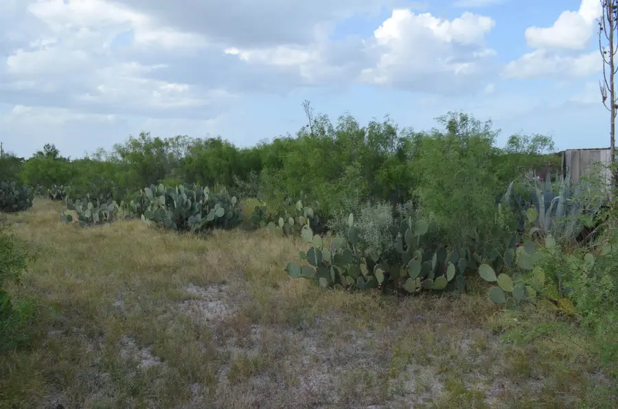Lot 43 Los Centenarios, Laredo, TX 78043 - #2