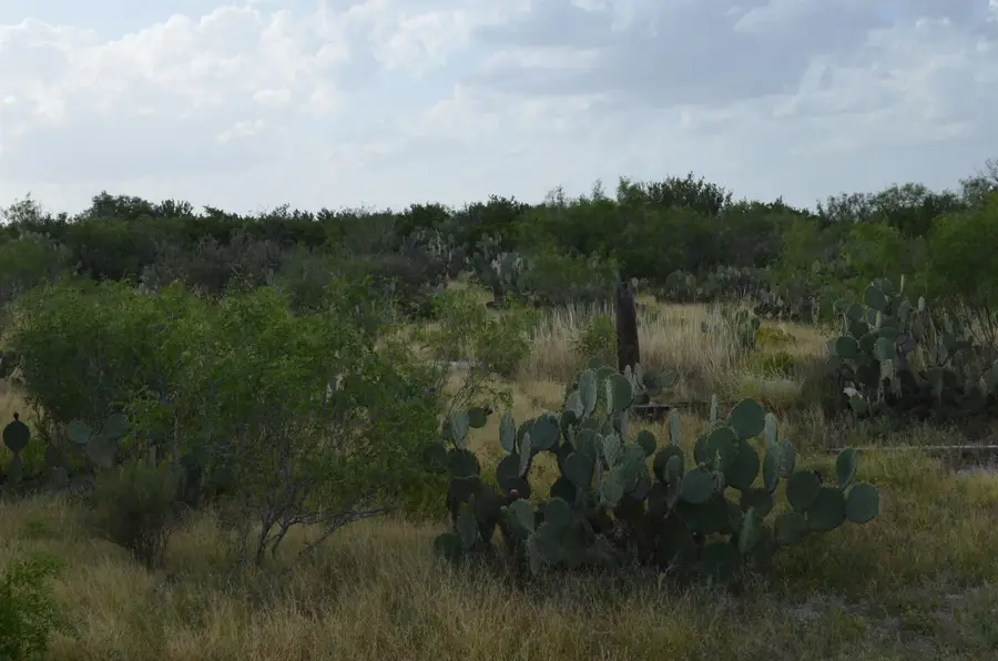 Lot 43 Los Centenarios, Laredo, TX 78043 - #3