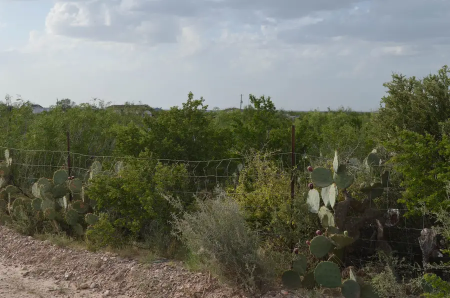Lot 41 Los Centenarios, Laredo, TX 78043 - #2