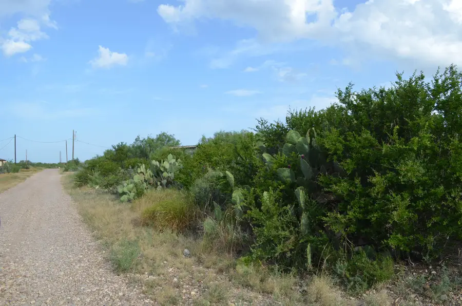Lot 93 Los Centenarios, Laredo, TX 78043 - #2