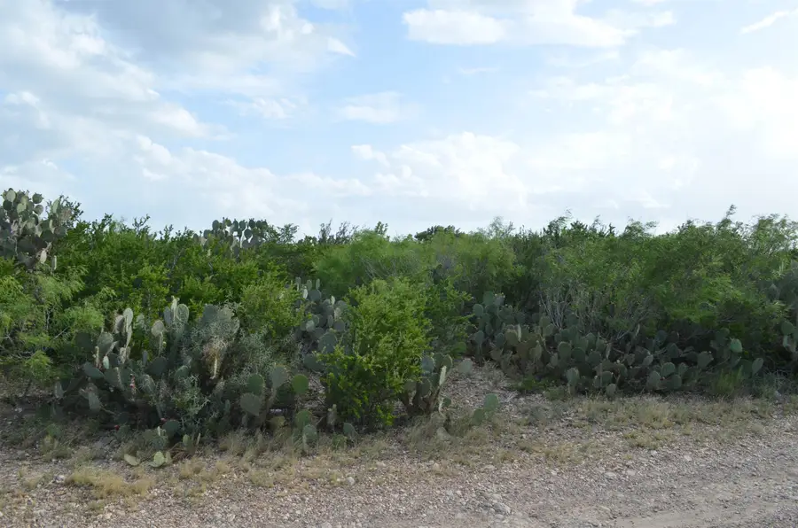 Lot 93 Los Centenarios, Laredo, TX 78043 - #3