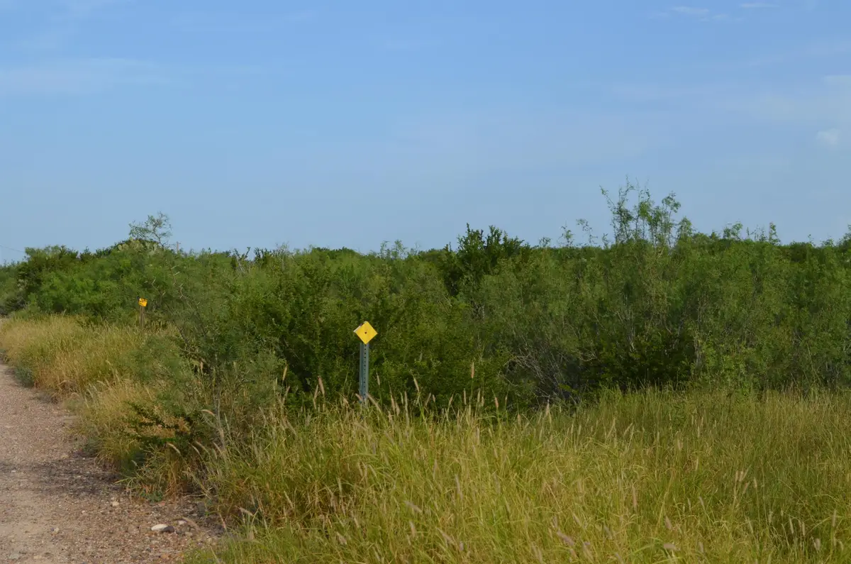 Lot 91 Los Centenarios, Laredo, TX 78043 - #1