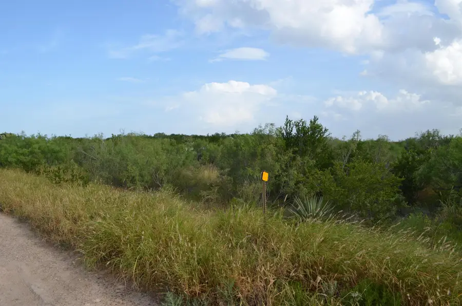 Lot 91 Los Centenarios, Laredo, TX 78043 - #3