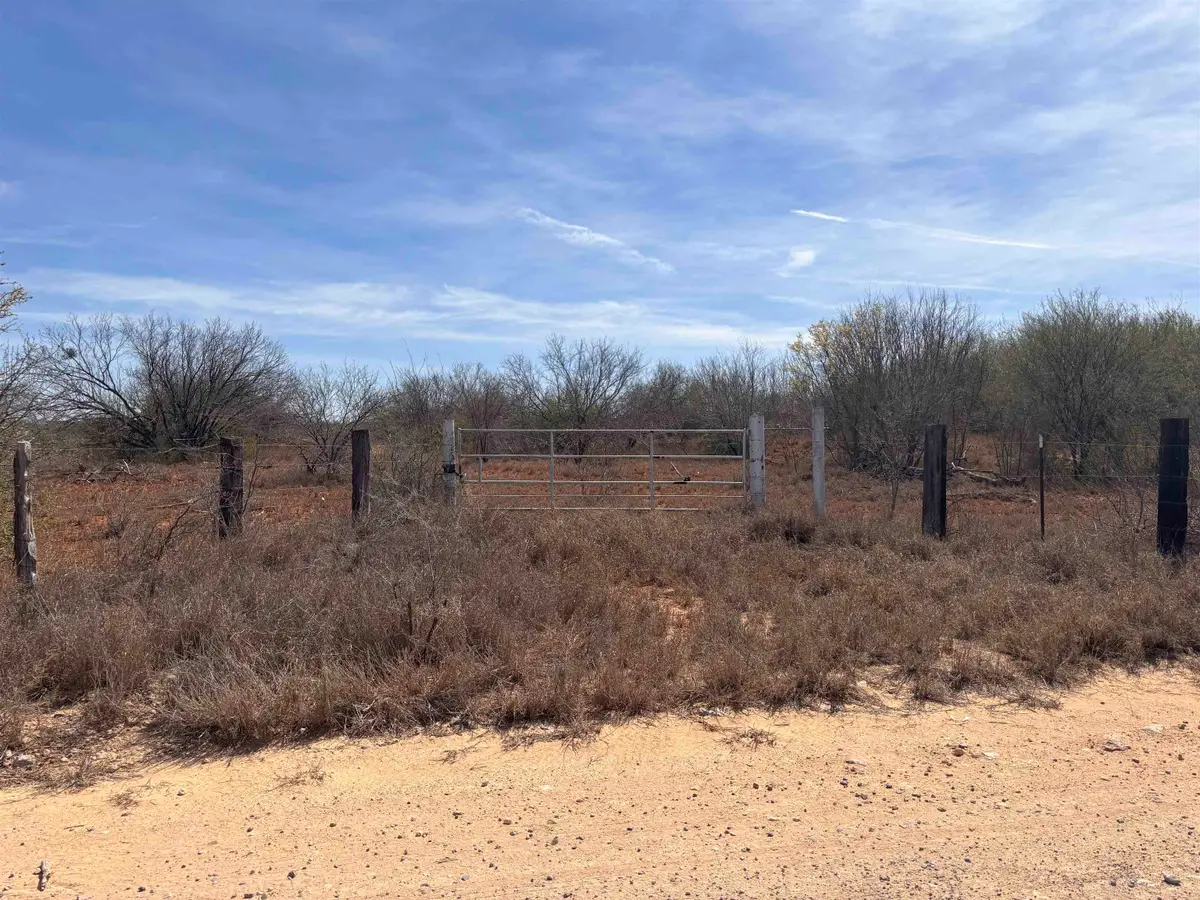 Tract 59-B, Laredo, TX 78045 - #1