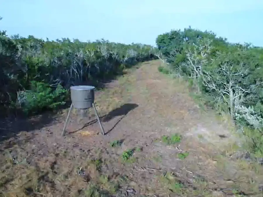 4691 FM 716, Realitos, TX 78376 - #3