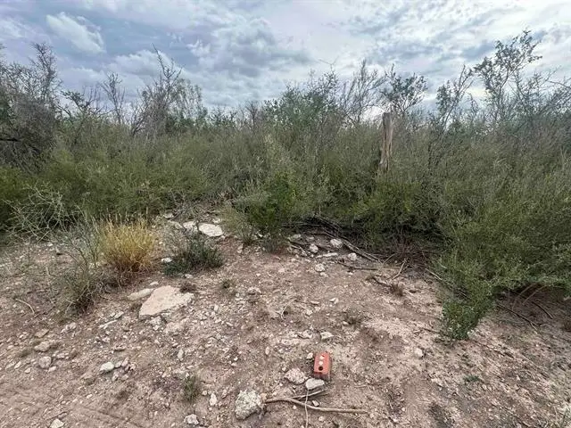 000 Valdez, Laredo, TX 78041 - #1