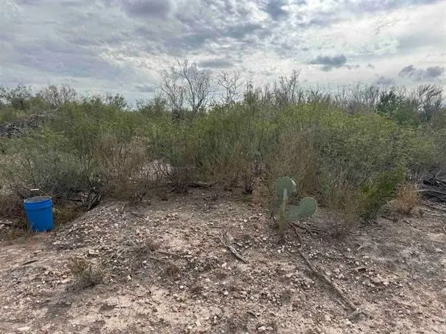 000 Valdez, Laredo, TX 78041 - #2