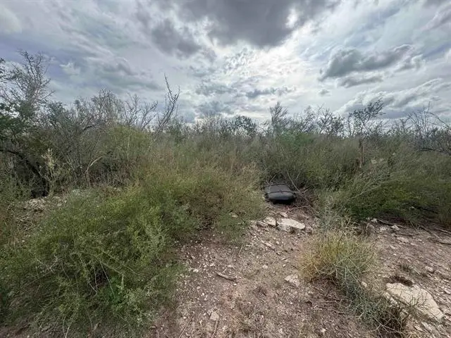 000 Valdez, Laredo, TX 78041 - #3