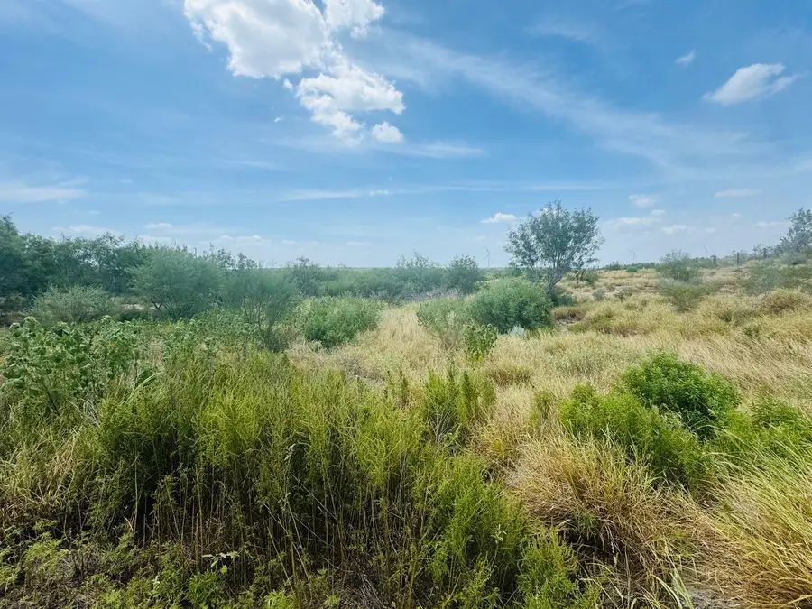 122 N Chele Rd., Falcon Heights, TX 78545 - #2