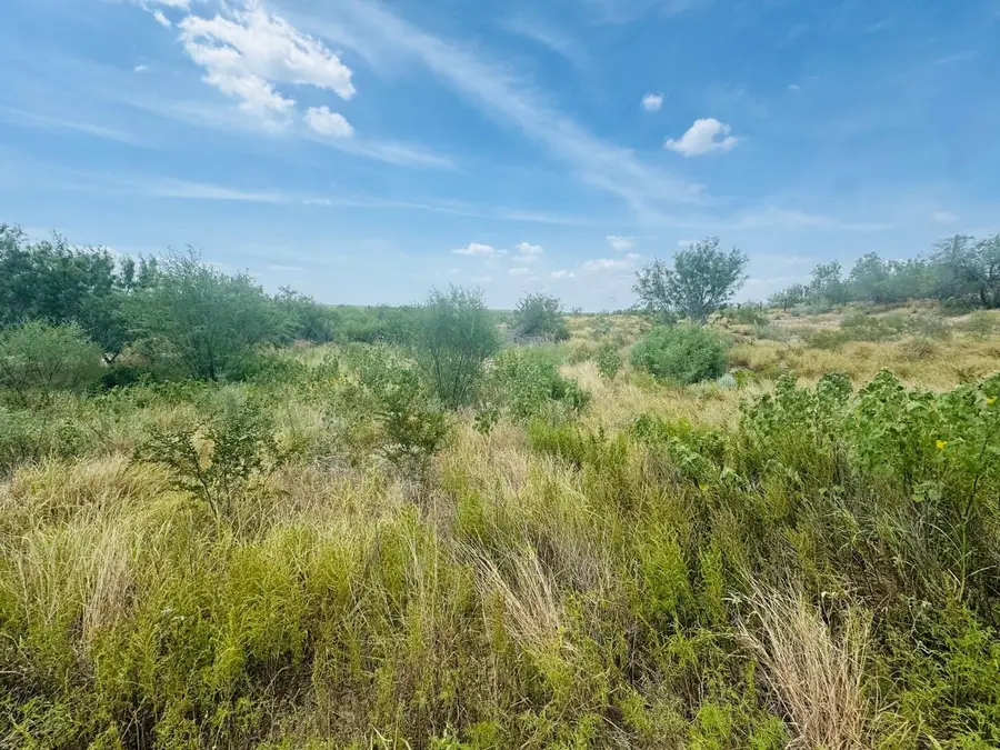 122 N Chele Rd., Falcon Heights, TX 78545 - #3
