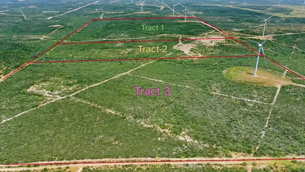 Tract 2 (47 ac) San Pablo Ave, Bruni, TX 78344
