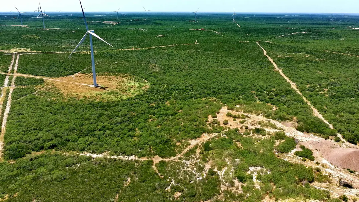 Tract 3 (117ac) San Pablo Ave, Bruni, TX 78344 - #1