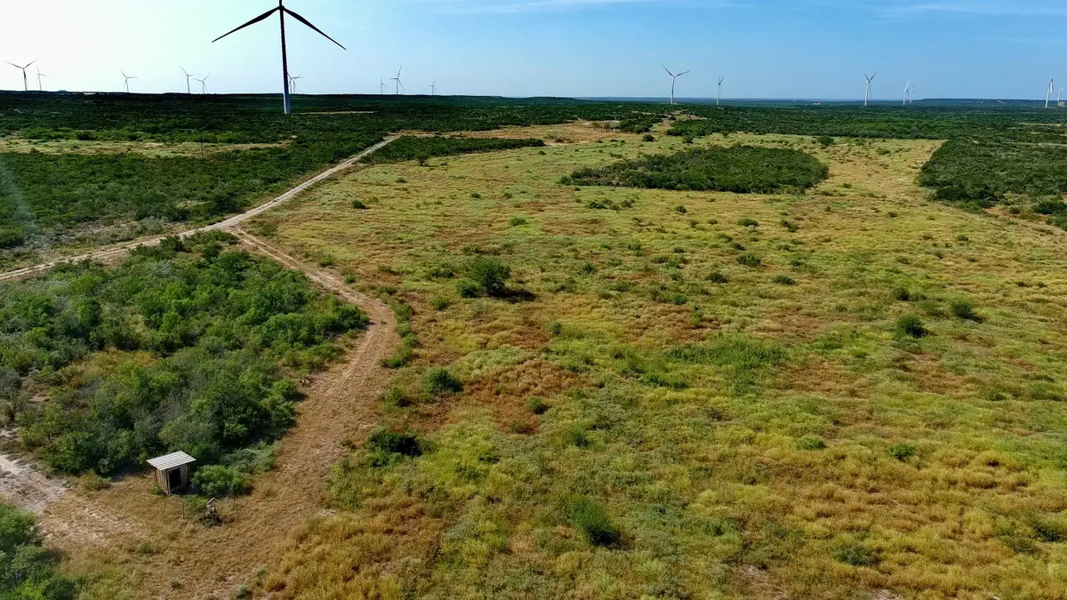 TRACT 4 (56AC) San Pablo Ave, Bruni, TX 78344 - #1