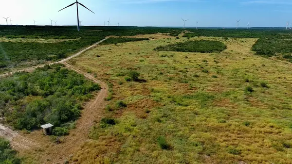 TRACT 4 (56AC) San Pablo Ave, Bruni, TX 78344
