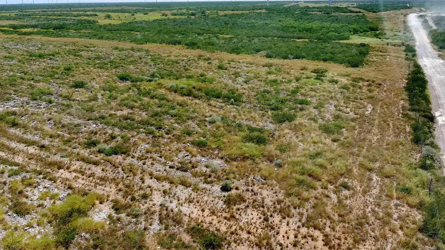 TRACT 4 (56AC) San Pablo Ave, Bruni, TX 78344 - #2