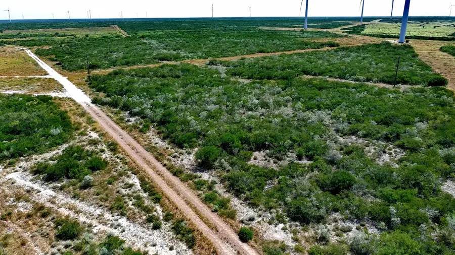 TRACT5 (47.9AC) San Pablo Ave, Bruni, TX 78344 - #2