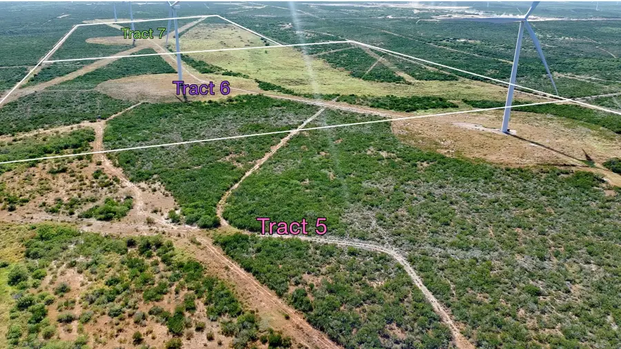 TRACT5 (47.9AC) San Pablo Ave, Bruni, TX 78344 - #3