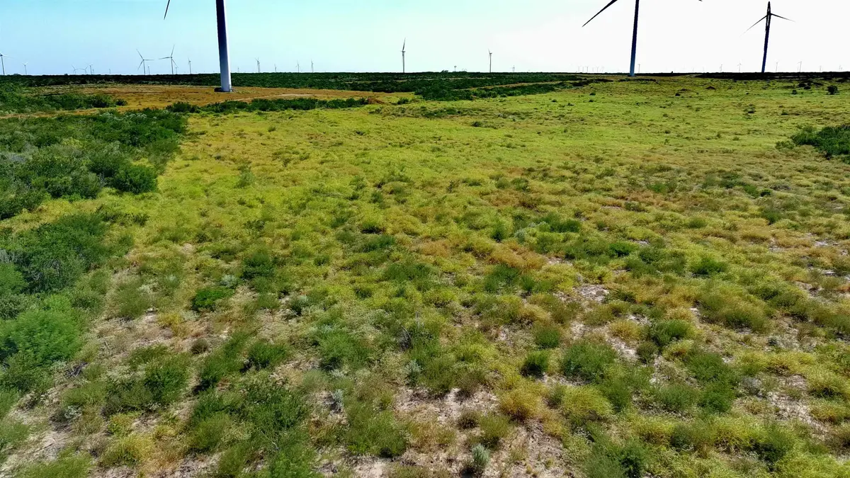 TRACT 6 (80AC) San Pablo Ave, Bruni, TX 78344 - #1