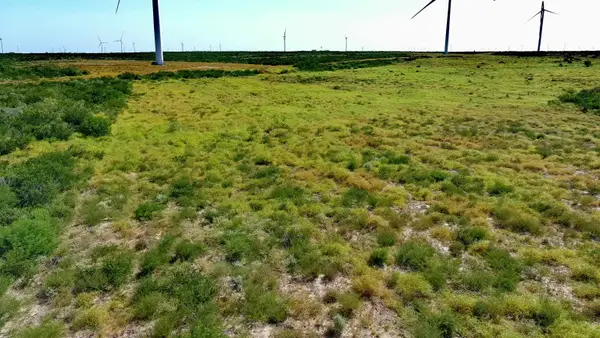 TRACT 6 (80AC) San Pablo Ave, Bruni, TX 78344