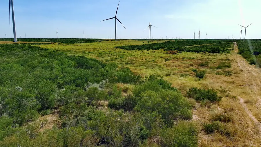 TRACT 6 (80AC) San Pablo Ave, Bruni, TX 78344 - #2