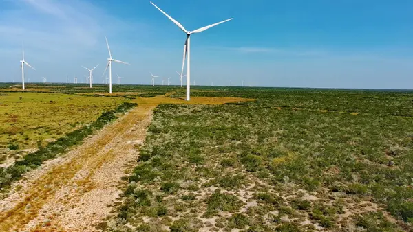 TRACT 7 (50AC) San Pablo Ave, Bruni, TX 78344