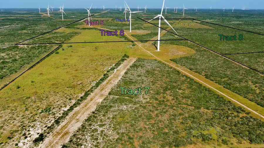 TRACT 7 (50AC) San Pablo Ave, Bruni, TX 78344 - #2