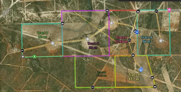 TRACT 8 (47.77) San Pablo Ave, Bruni, TX 78344