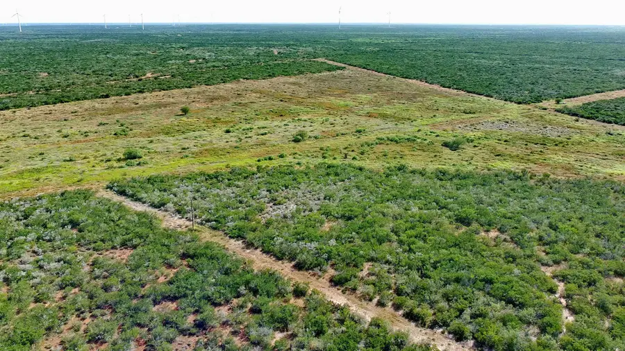 TRACT 8 (47.77) San Pablo Ave, Bruni, TX 78344 - #3
