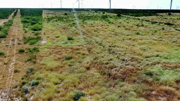 TRACT 9 (43.1) San Pablo Ave, Bruni, TX 78344