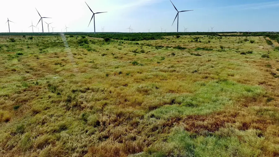 TRACT 9 (43.1) San Pablo Ave, Bruni, TX 78344 - #2