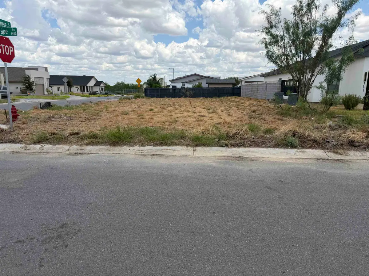 1433 El Zarape Ln., Laredo, TX 78046 - #1