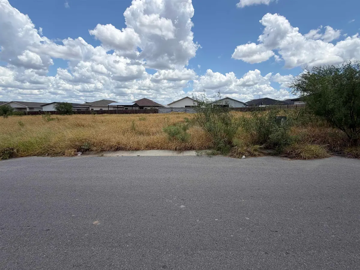 1417 El Zarape Ln., Laredo, TX 78046 - #1