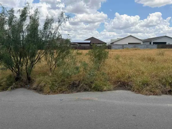1419 El Zarape Ln., Laredo, TX 78046