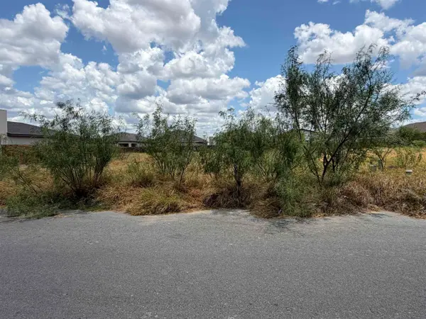 1421 El Zarape Ln., Laredo, TX 78046