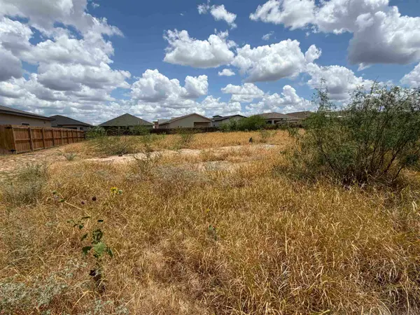 1427 El Zarape Ln., Laredo, TX 78046